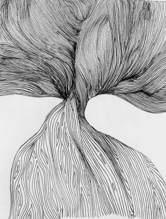 Roots to canopy by artist Gayathri Duriseti